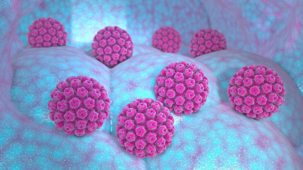 HPV یا ویروس پاپیلومای انسانی چیست؟ 