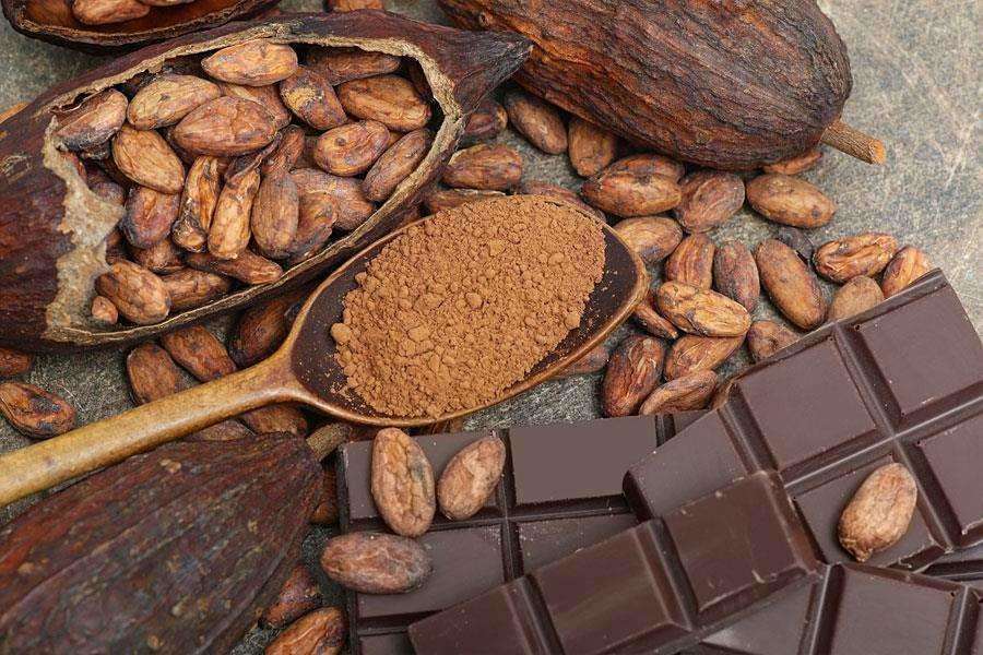 12 فایده و ضرر شکلات